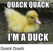 Image result for Draw a Duck Meme