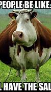 Image result for Dating Cow Meme