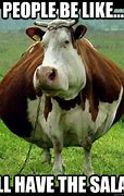 Image result for Cow Farm Meme