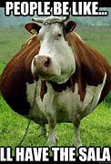 Image result for New Cow Meme