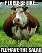 Image result for Cow Period T Meme