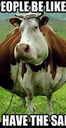 Image result for Barnyard Fit Meme and Cow
