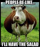 Image result for Cute Cow Memes