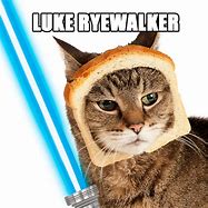 Image result for Star Wars Cat Memes