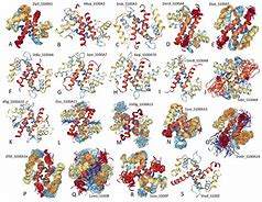 Image result for S100 Protein