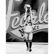Image result for Nikki Bella Stay Fearless