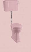 Image result for Close Coupled Toilet with Lever Flush