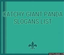 Image result for Giant Panda France