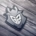 Image result for G2 eSports Logo.png