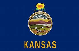 Image result for Original Kansas Flag