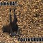 Image result for Scary Bat Funny