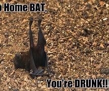Image result for The Man Vs. the Bat Meme
