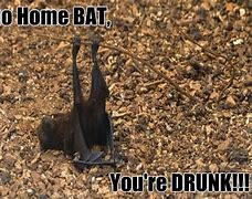 Image result for Bat. Radar Meme