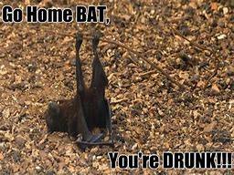 Image result for 5G Bat Meme