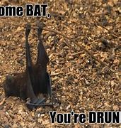 Image result for Bat In-House Meme