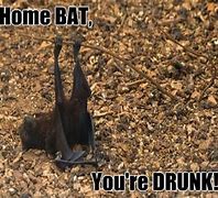 Image result for Of a Football Bat Funny