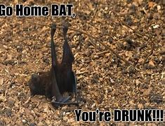 Image result for Some Bat Meme