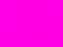 Image result for Plain Neon Pink