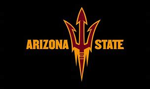 Image result for University of Arizona Logo.jpg