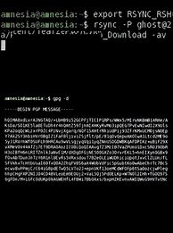Image result for Hack Video