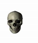 Image result for Hyper Realistic Skull. Emoji