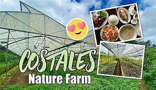Image result for Picture of Costales Farm House