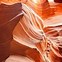 Image result for Antelope Canyon Animals
