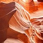 Image result for Arizona certifies