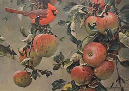 Image result for apples posters print