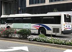 Image result for NJ Transit Bus