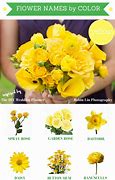 Image result for Red and Yellow Flower Names