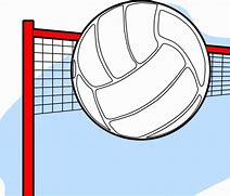 Image result for Volleyball Cartoon Pic