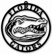 Image result for Swimming Florida Gators