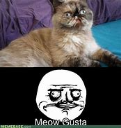 Image result for Me Gusta Cat Meme
