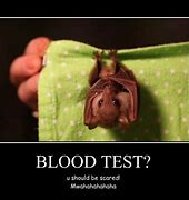 Image result for Meme Failing a Blood Test