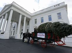 Image result for White House Christmas Tree