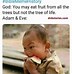 Image result for Bible Memes