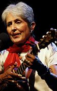 Image result for Joan Baez Son