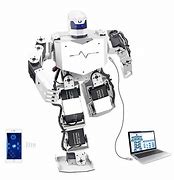 Image result for Top Humanoid