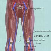 Image result for Acupuncture St 34