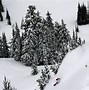 Image result for North America Snow
