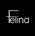 Image result for Felina