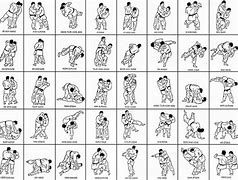 Image result for Combat Judo