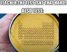 Image result for Take the Test Meme