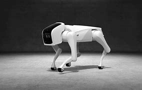 Image result for Ibow Robot Dog