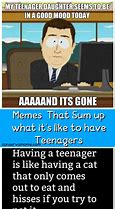 Image result for Teenage Years Memes