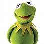Image result for Kermit the Frog Head