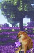 Image result for I'm Sorry Cute Puppy Memes