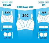 Image result for large cup small band