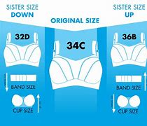Image result for Small Band Big Cup Bra
